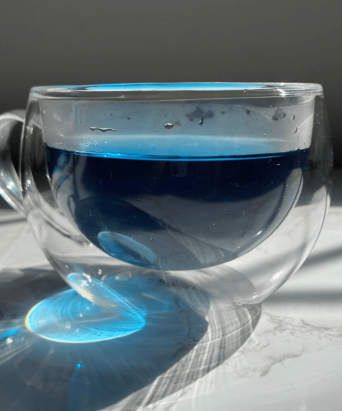 2024 11 Gobi Goji Blue Detox Herbal Tea 2
