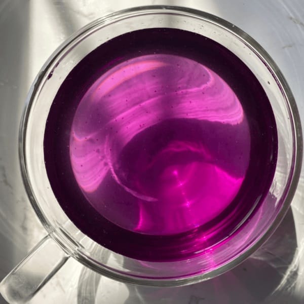 2025-06 testimonial Gobi-Gjoi-Purple-Boost