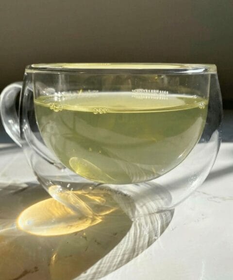 2026 07 green tea lifestyle side view
